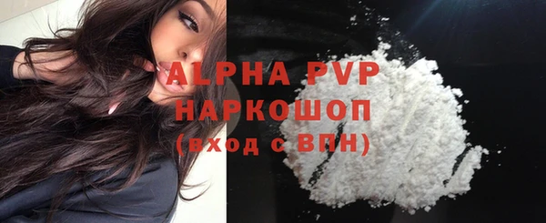 крисы Дмитров
