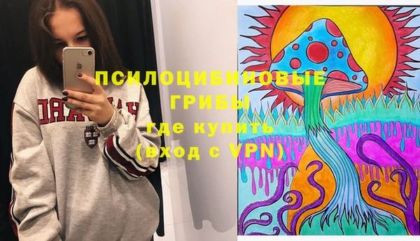 крисы Дмитров